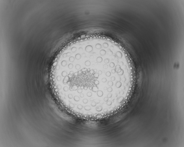 X0000114030261200911131255