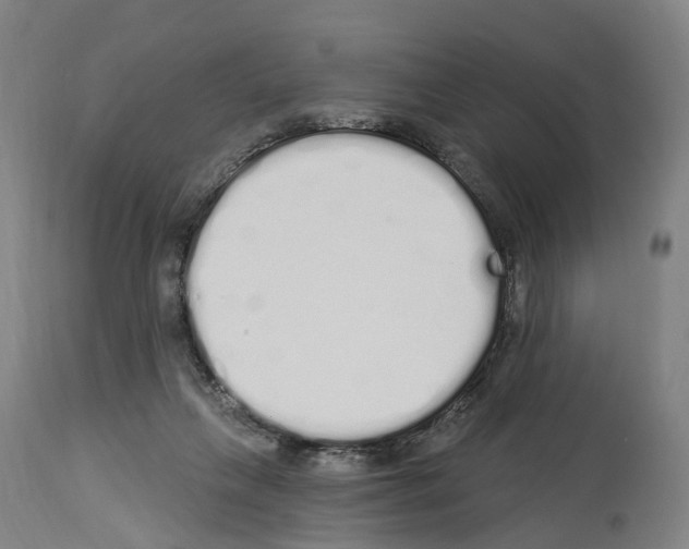 X0000114030263200911131255