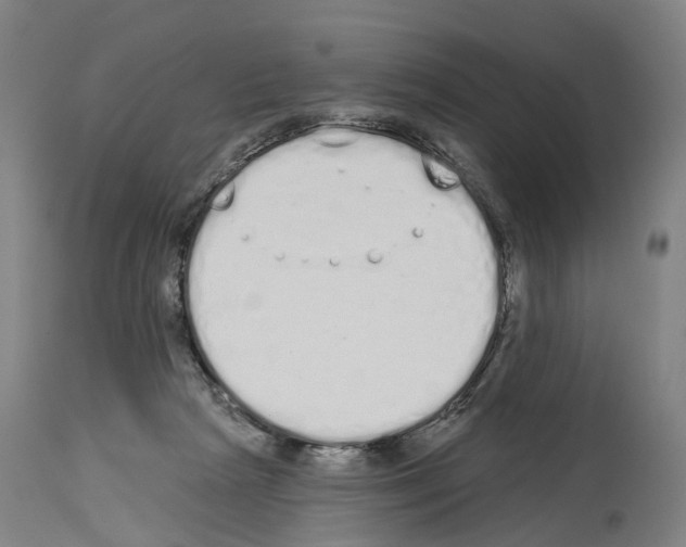 X0000114030265200911131255