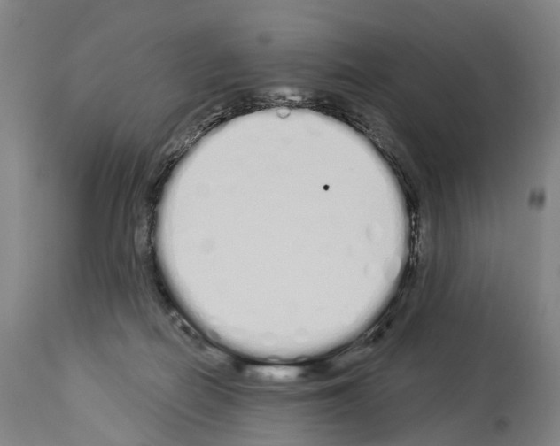 X0000114030266200911131255