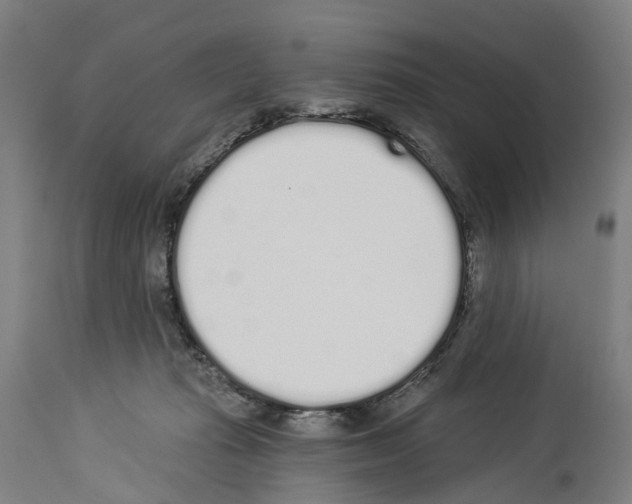 X0000114030269200911131255