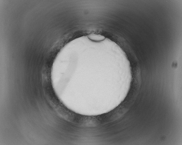 X0000114030272200911131255