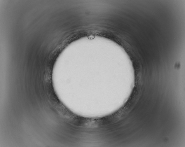 X0000114030274200911131255