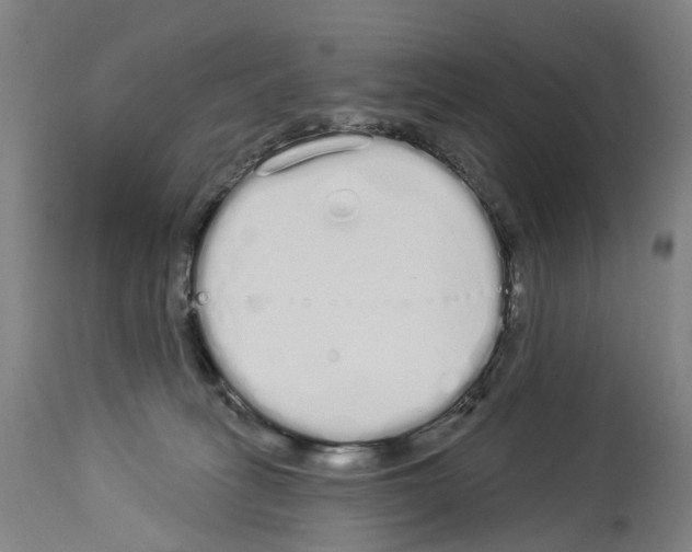 X0000114030275200911131255