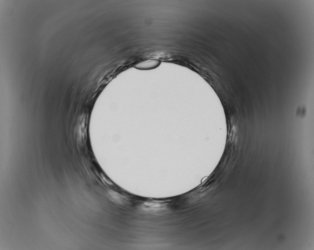 X0000114030280200911131256