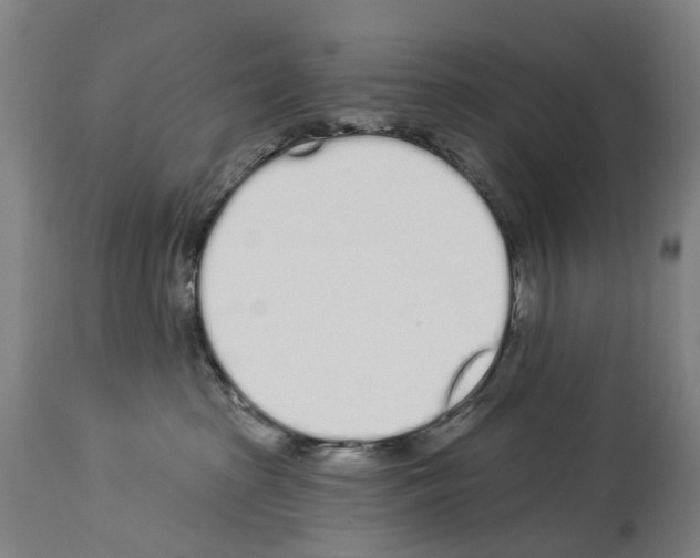 X0000114030285200911131256