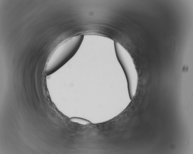 X0000114030289200911131255