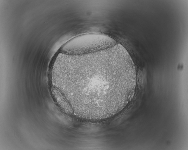 X0000114030292200911131255