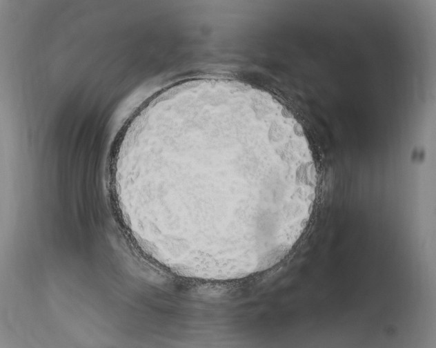 X0000114030294200911131255