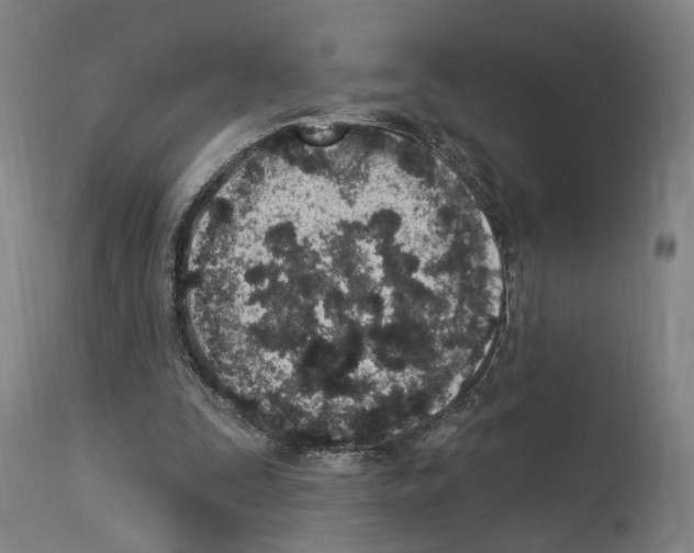 X0000114030295200911131255