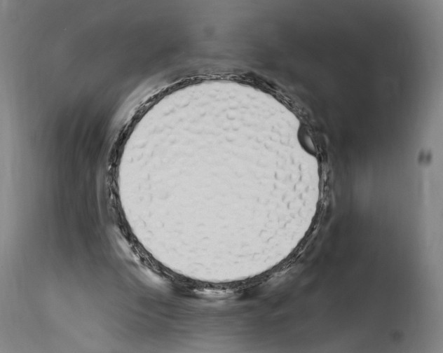 X0000114030296200911131255