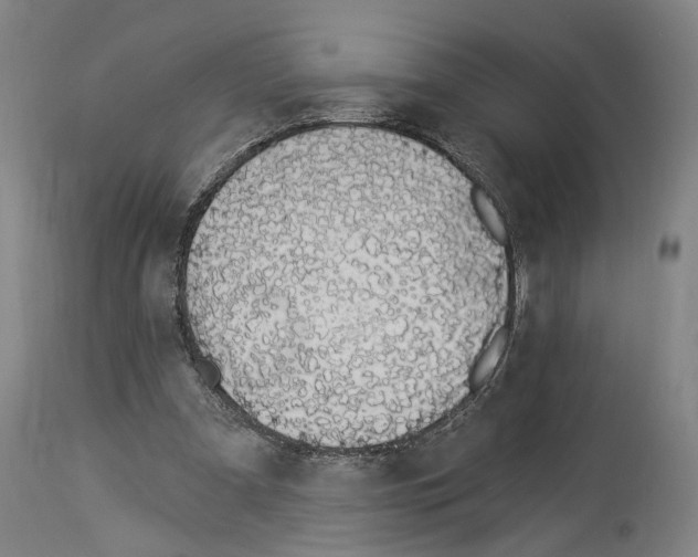 X0000114030297200911131255