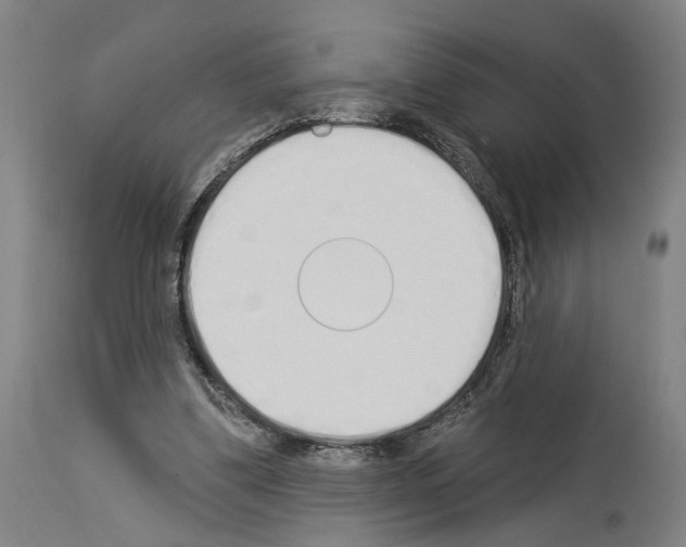 X0000114030299200911131255