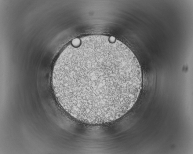 X0000114030301200911131255