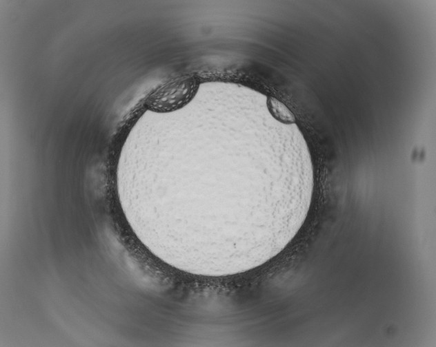 X0000114030304200911131255