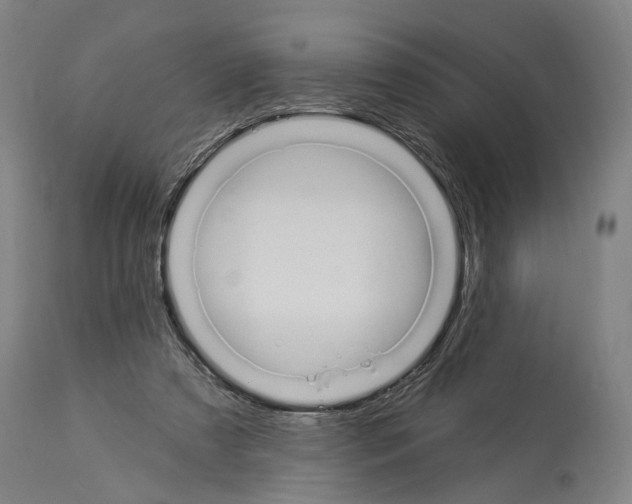 X0000114030305200911131255