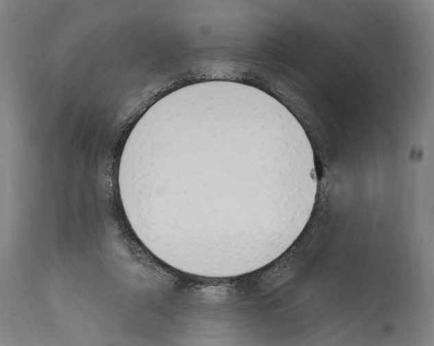 X0000114030306200911131255