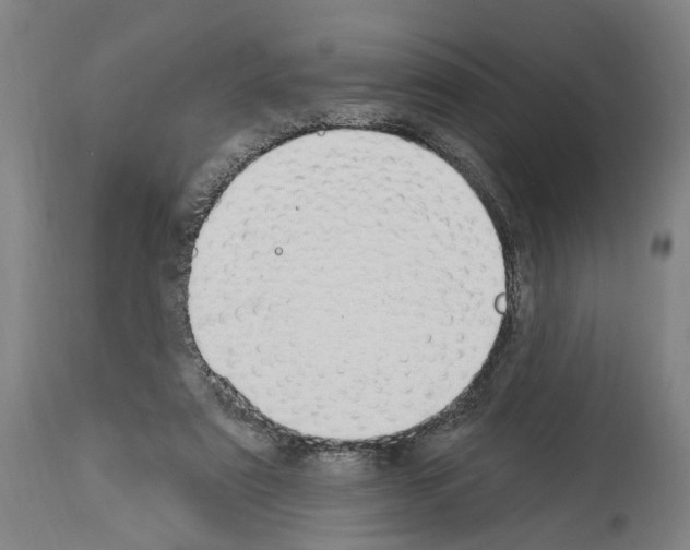 X0000114030307200911131255