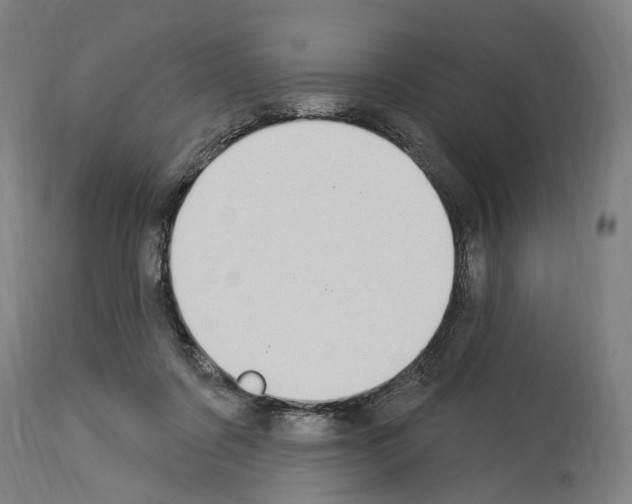 X0000114030311200911131254