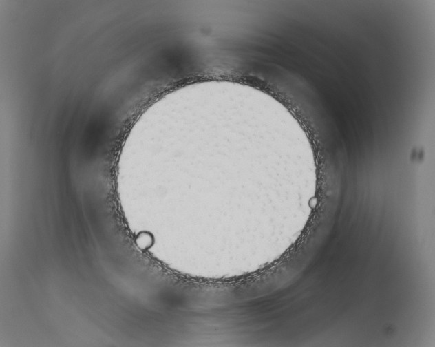 X0000114030313200911131254