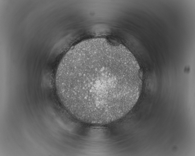 X0000114030316200911131254