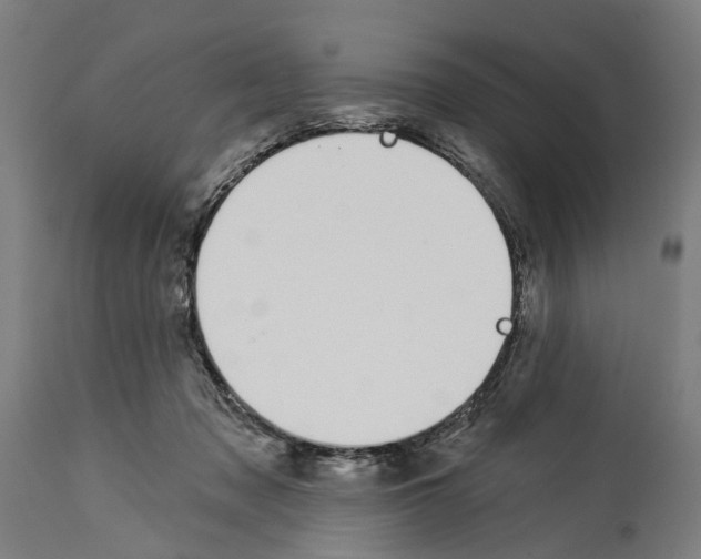 X0000114030317200911131254