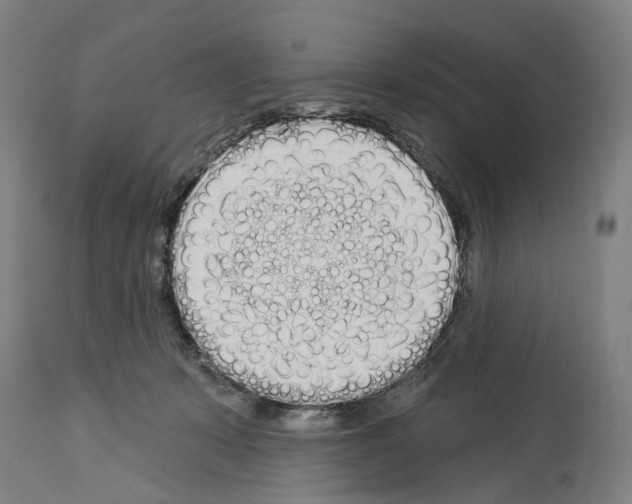 X0000114030319200911131254