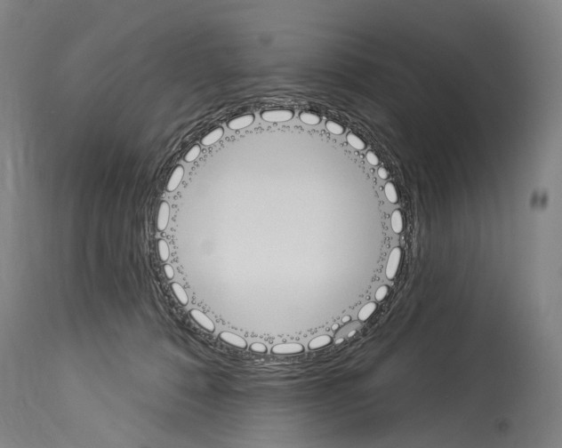 X0000114030320200911131254