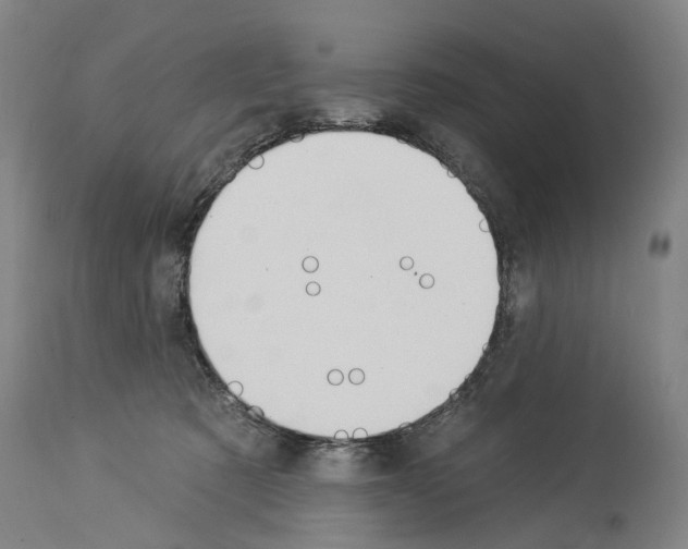 X0000114030321200911131254