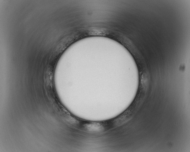 X0000114030322200911131254