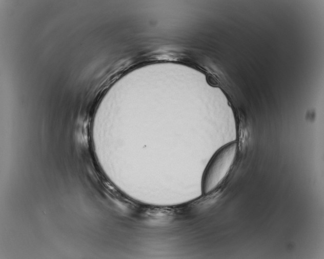 X0000114030325200911131254