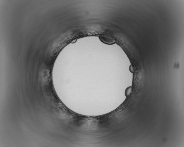 X0000114030327200911131254