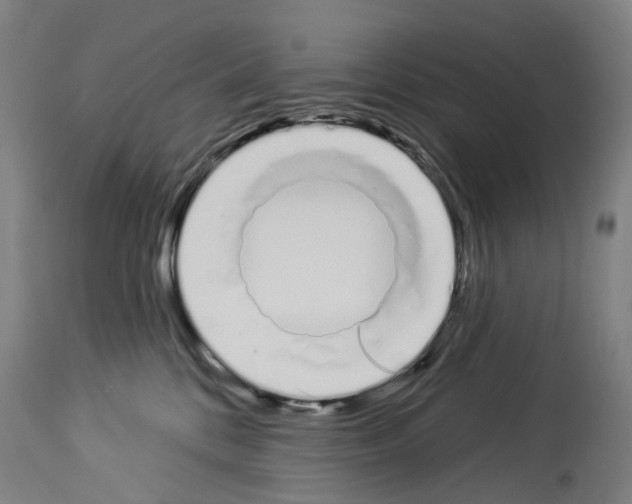 X0000114030328200911131254