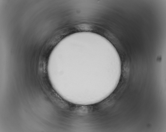 X0000114030330200911131254