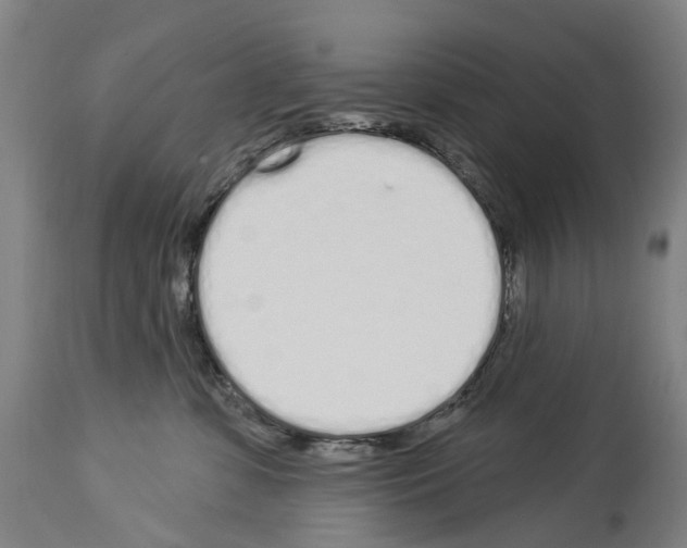 X0000114030331200911131254