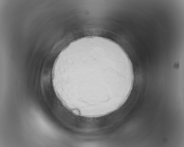 X0000114030334200911131254