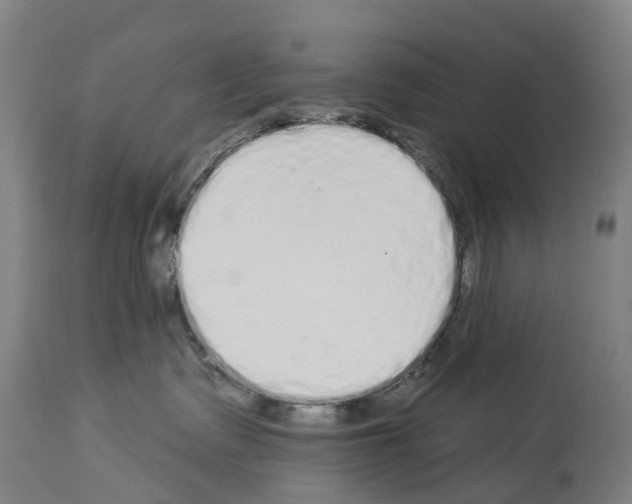 X0000114030335200911131254