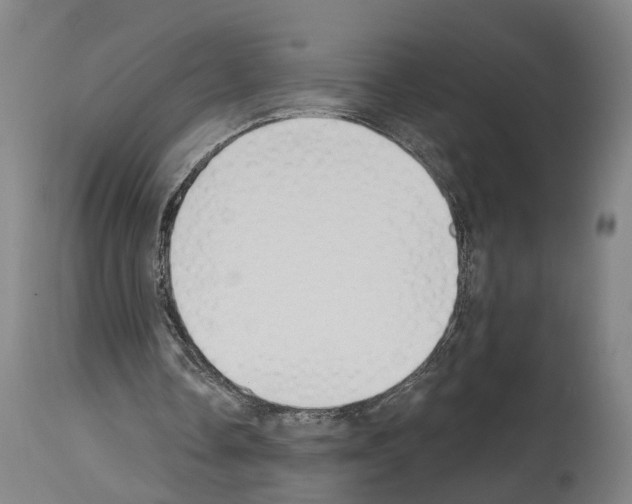 X0000114030338200911131253