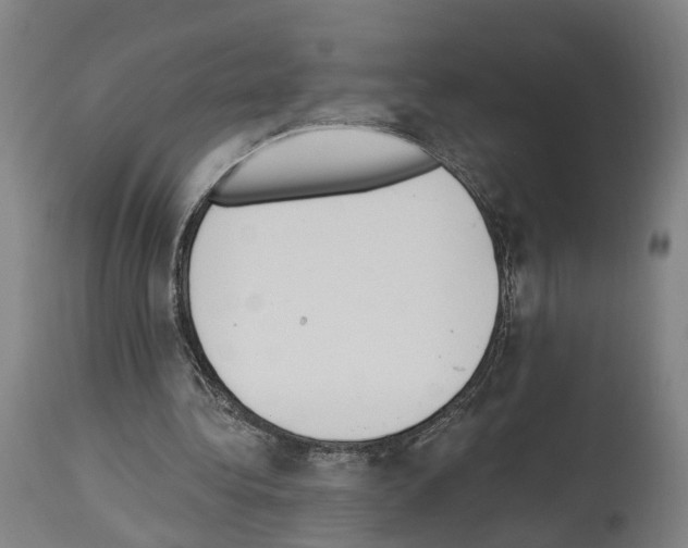 X0000114030340200911131254