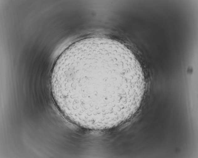 X0000114030341200911131254