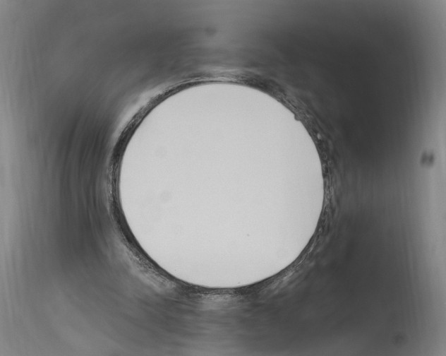 X0000114030342200911131254