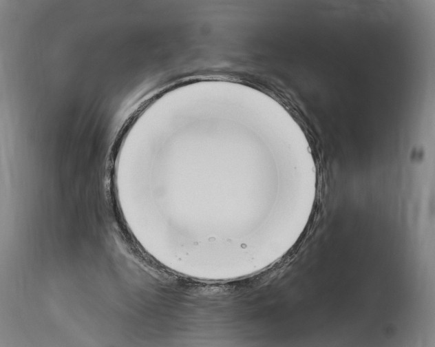 X0000114030344200911131254