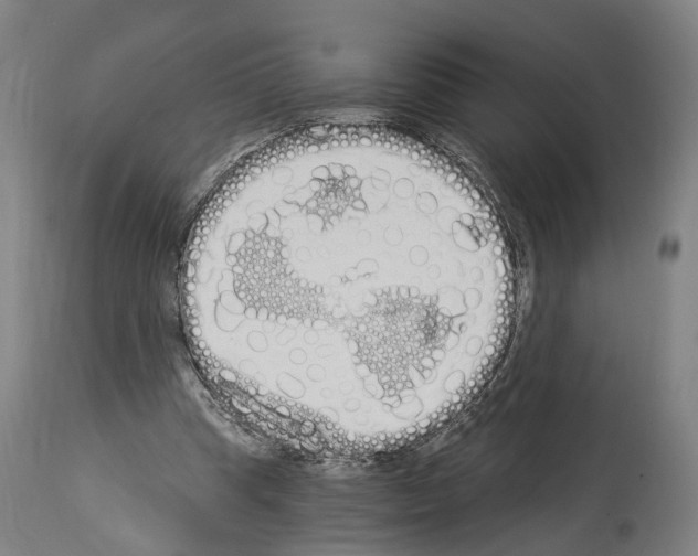 X0000114030345200911131254