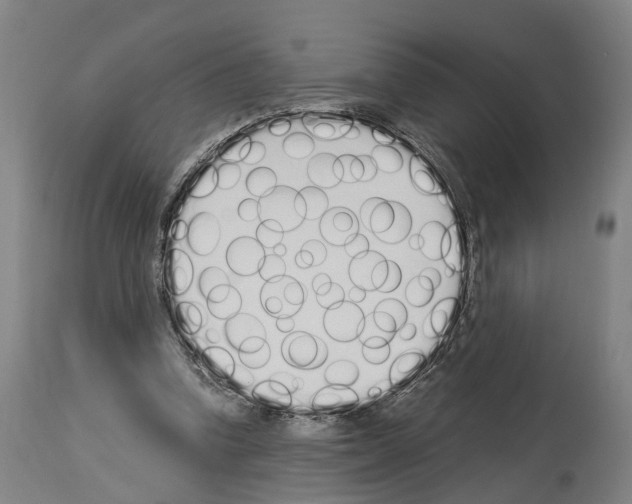 X0000114030346200911131254