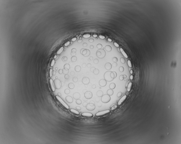 X0000114030349200911131254