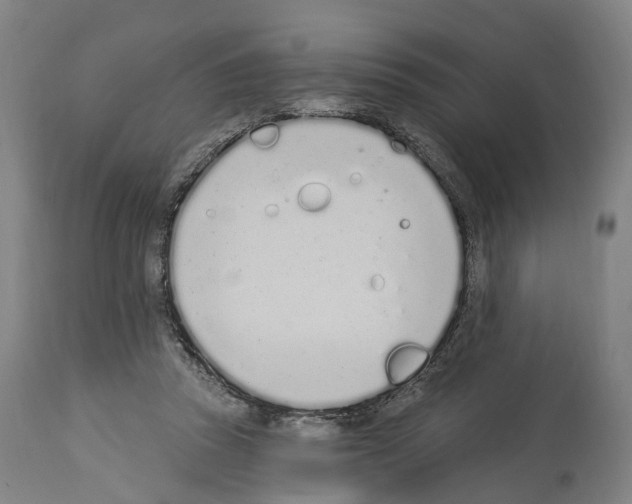 X0000114030353200911131254