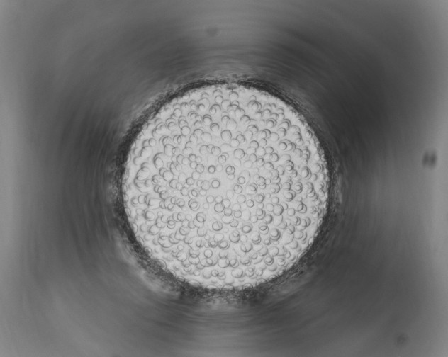 X0000114030354200911131254