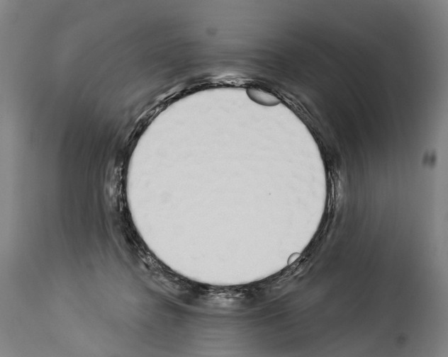 X0000114030364200911131254