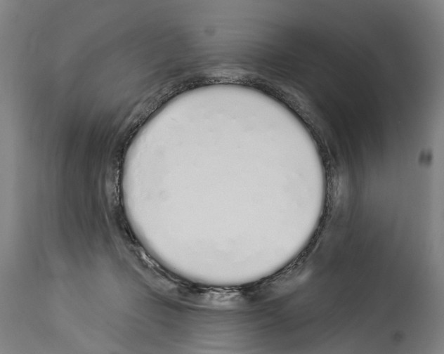 X0000114030365200911131254