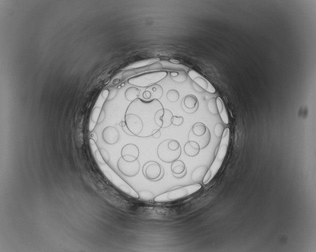 X0000114030366200911131254